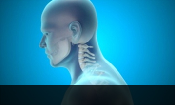 일산자생한방병원 목질환 일자목증후군-정상적인 C자형 목뼈 모습입니다.